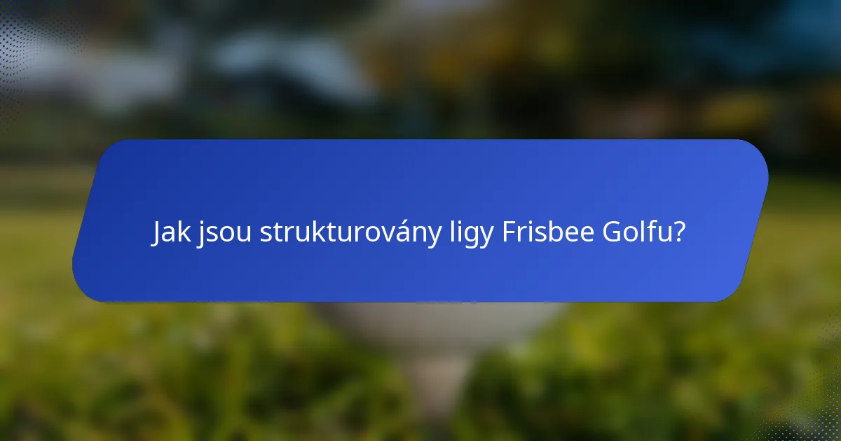 Jak jsou strukturovány ligy Frisbee Golfu?